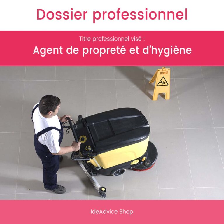 Dossier Professionnel Agent De Propret Et D Hygi Ne