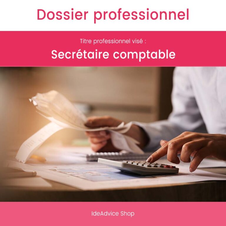 Dossier Professionnel Secrétaire comptable