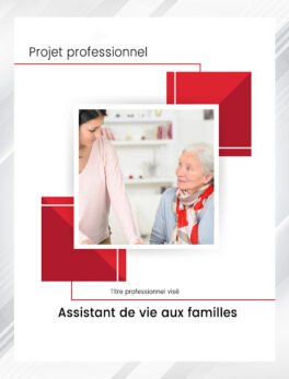 Dossier Professionnel Assistant De Vie Aux Familles