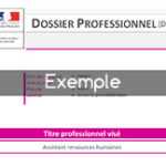 Télécharger des exemples de dossiers professionnels remplis