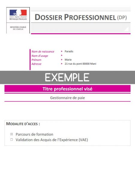 Exemple de dossier professionnel Gestionnaire de paie Word ou PDF