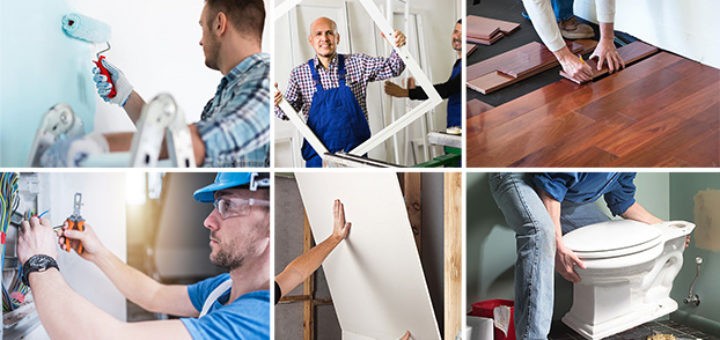 dossier professionnel AEB
