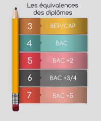 Tout Savoir Sur Les Niveaux Des Diplômes Et Leur équivalence